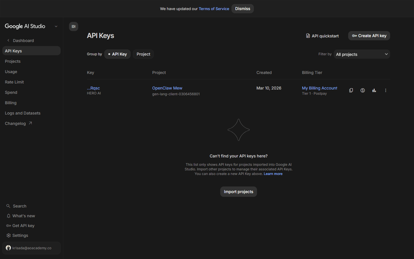 Google AI Studio · API Keys page